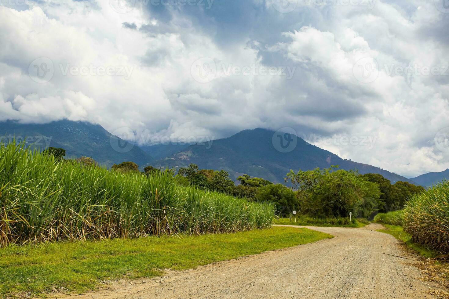 krok lantlig väg, socker sockerrör fält och de paramo de las hermosas bergen på de valle del cauca område i colombia foto