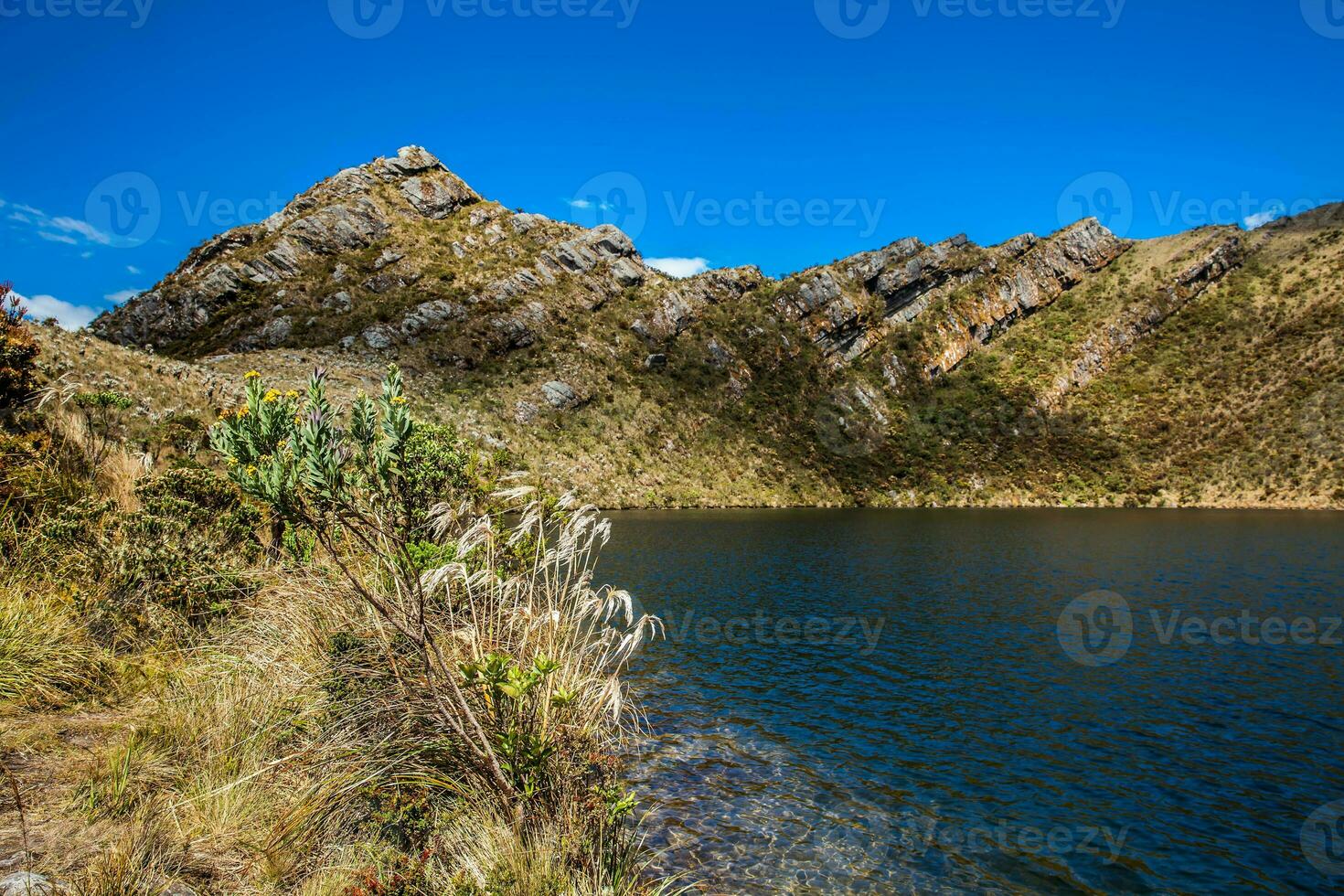 skön landskap av colombianska andean bergen som visar paramo typ vegetation i de avdelning av cundinamarca foto