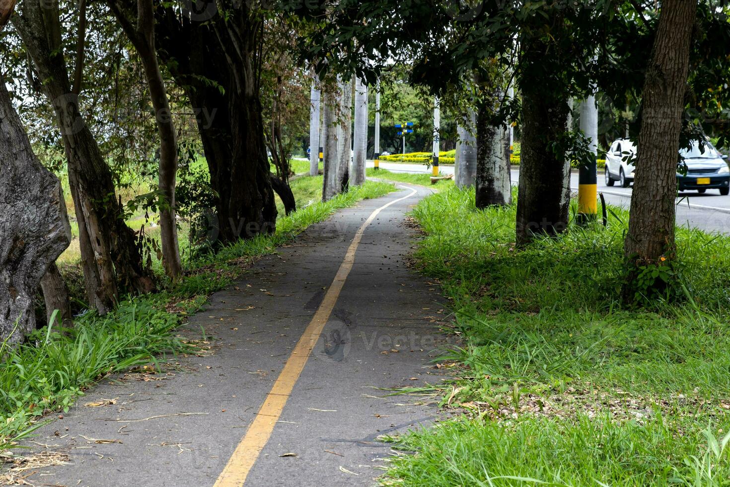 tömma cykel väg längs de cali - palmira väg i colombia foto