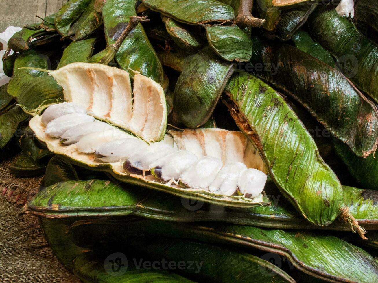 exotisk tropisk frukt kallad guama. inga edulis foto