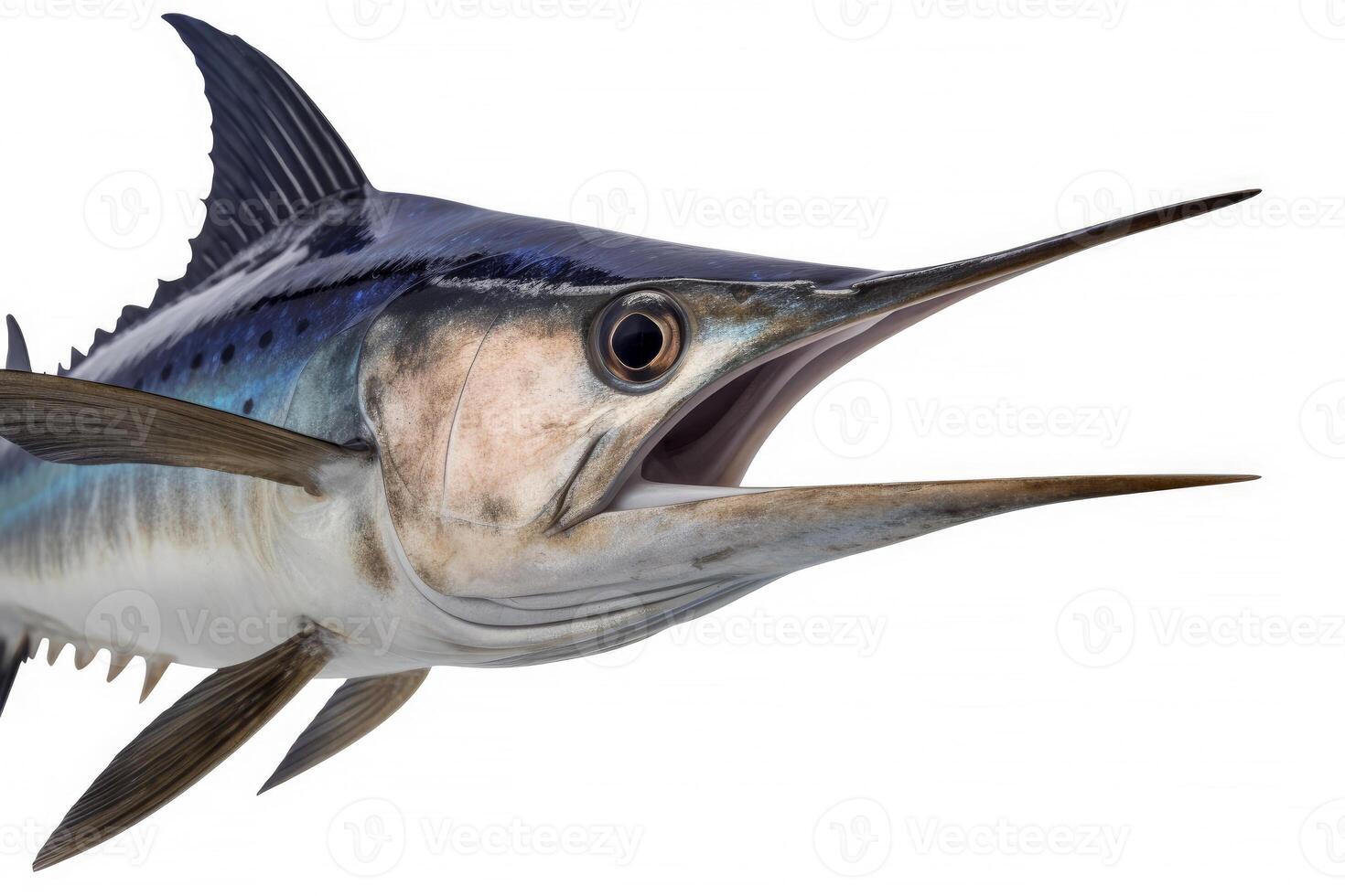 Svärdfisk svärdfisk marin djur- isolerat på vit bakgrund, fisk näbb skarp som en svärd, populär för fiske, vatten- hav mångfald, med generativ ai. foto