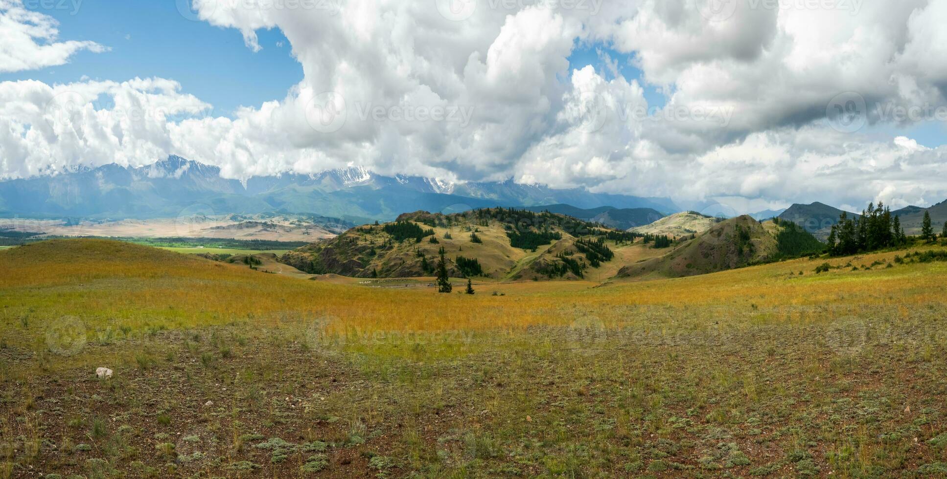 ljus höst berg landskap. en bred panorama- landskap med de kant av en barr- skog och bergen i en ljus dimma. altai berg. foto