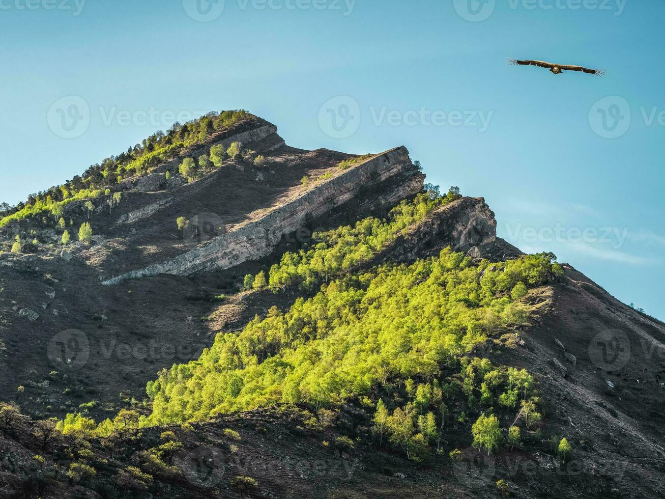 skarp berg toppar täckt med grön skog mot de blå himmel. foto