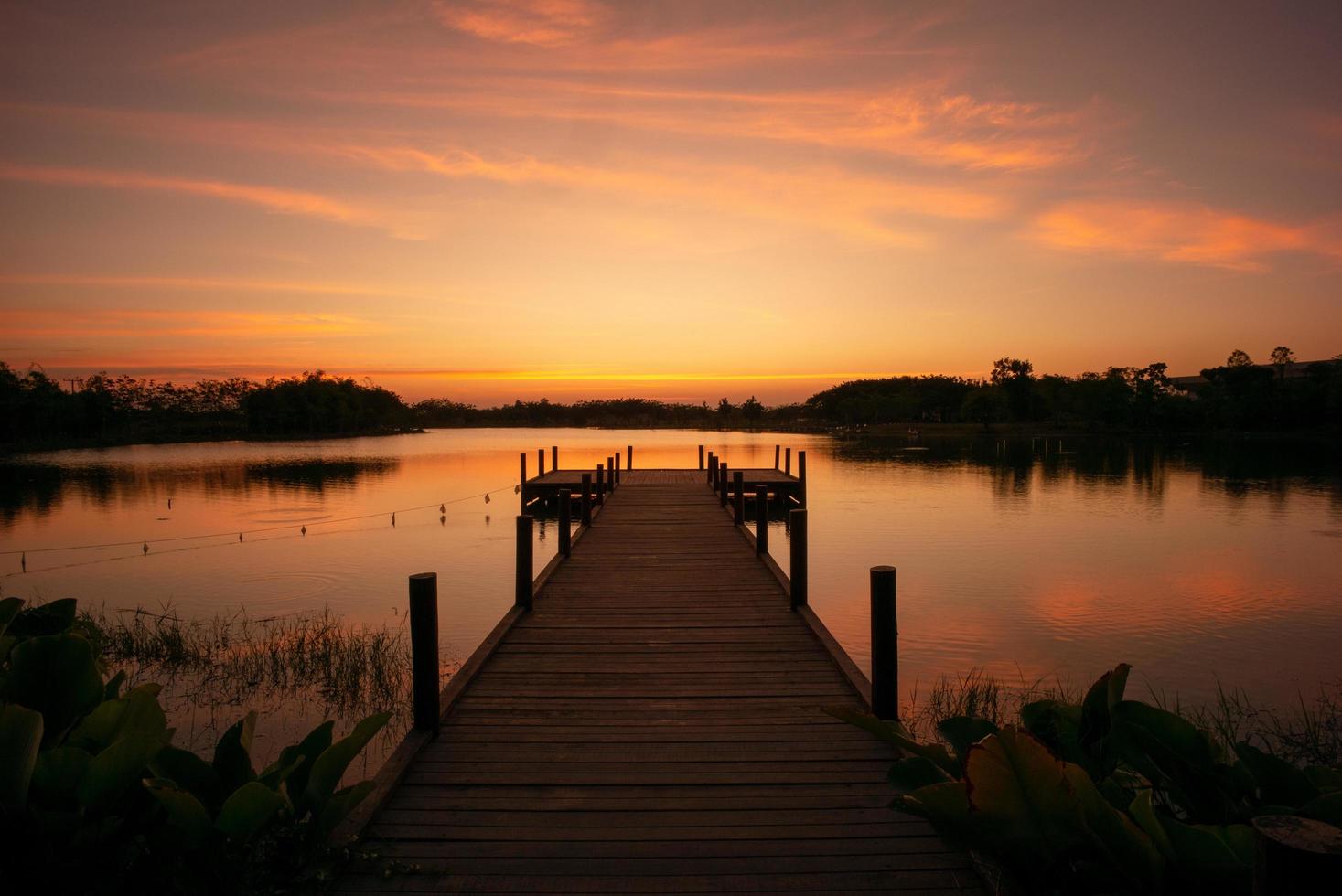 trä gångväg in i sjön med naturlandskap av solnedgången och silhuetten av skogen i bakgrunden foto