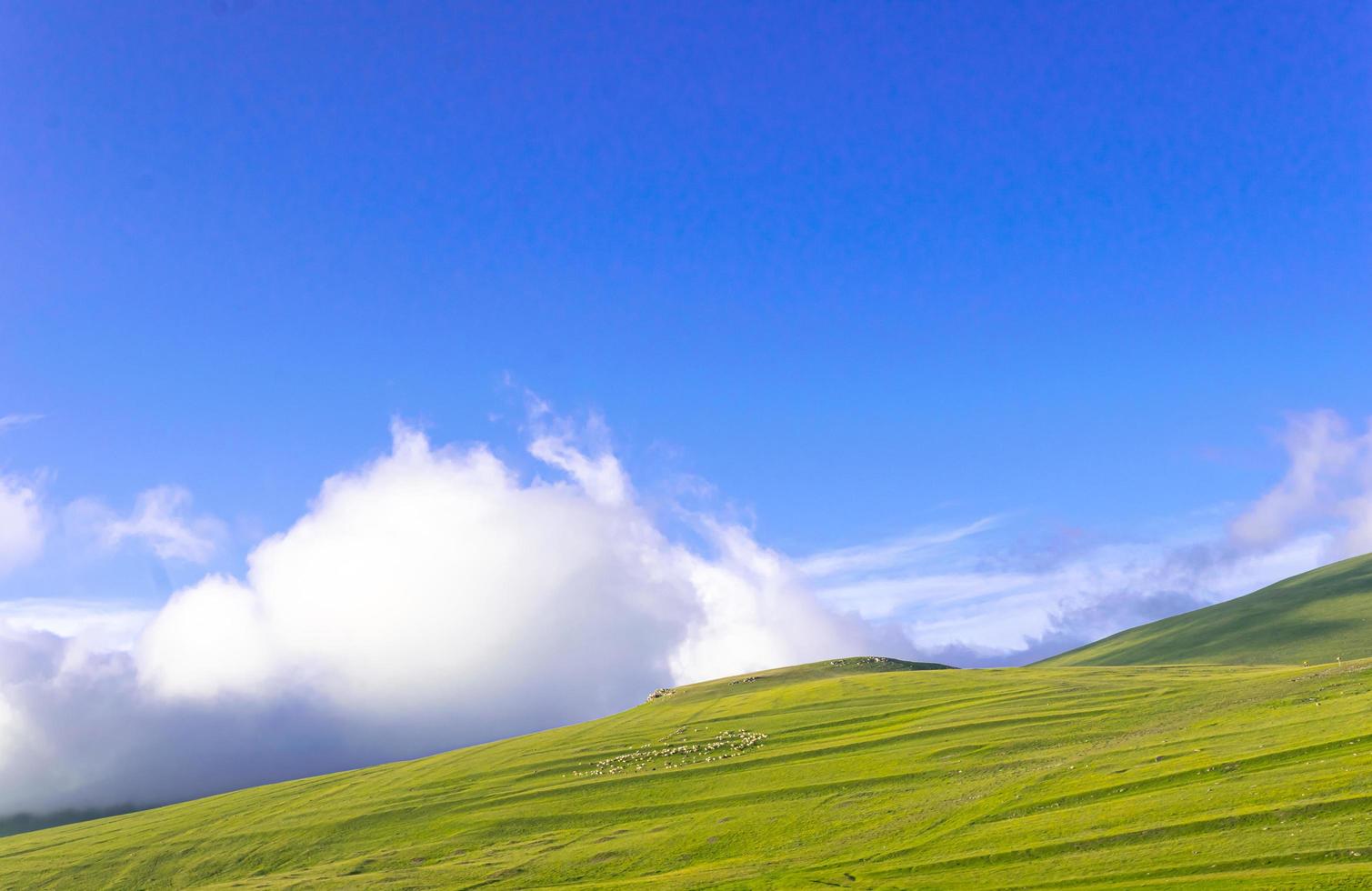 grön kulle med blå himmel foto