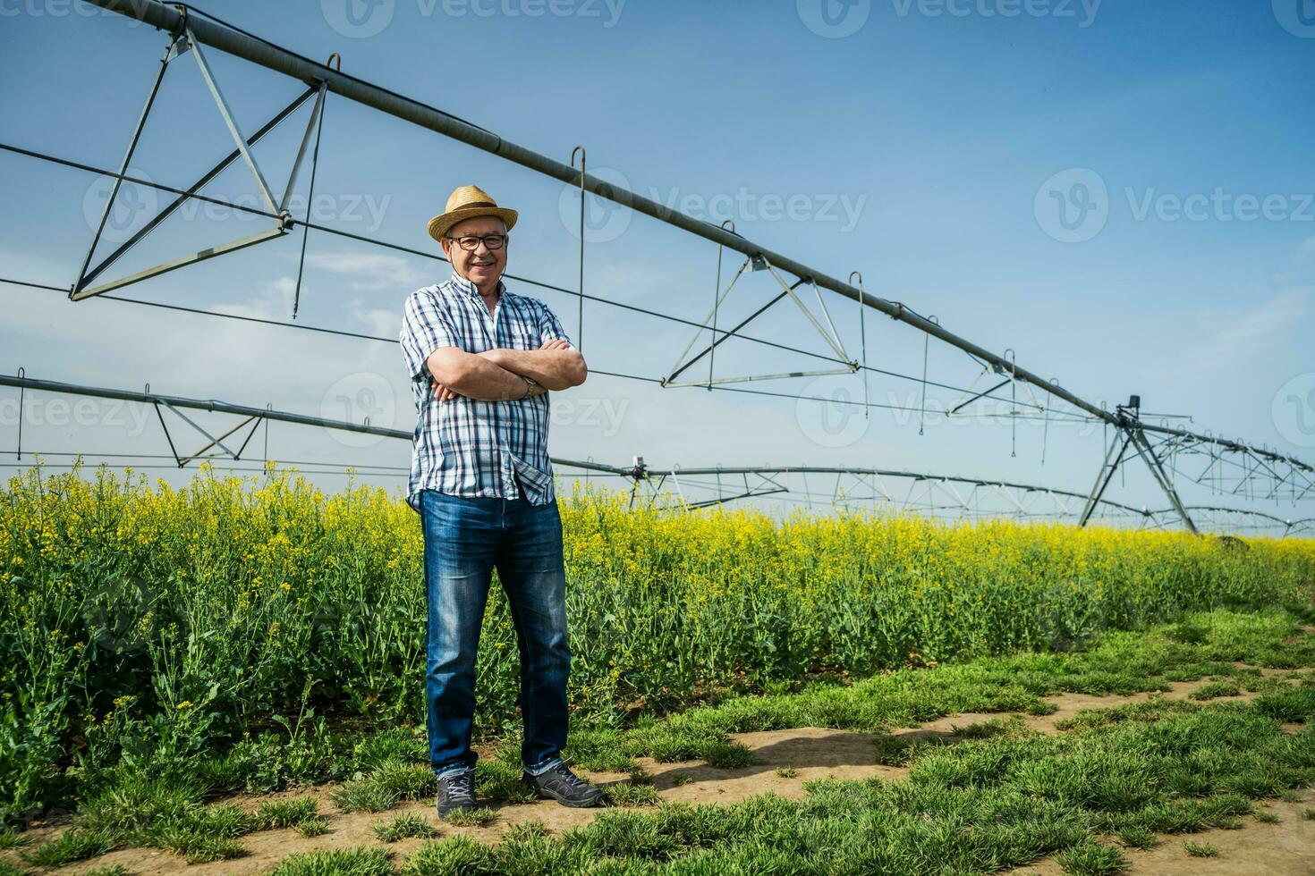 en jordbrukare granskning en rapsfrö fält foto