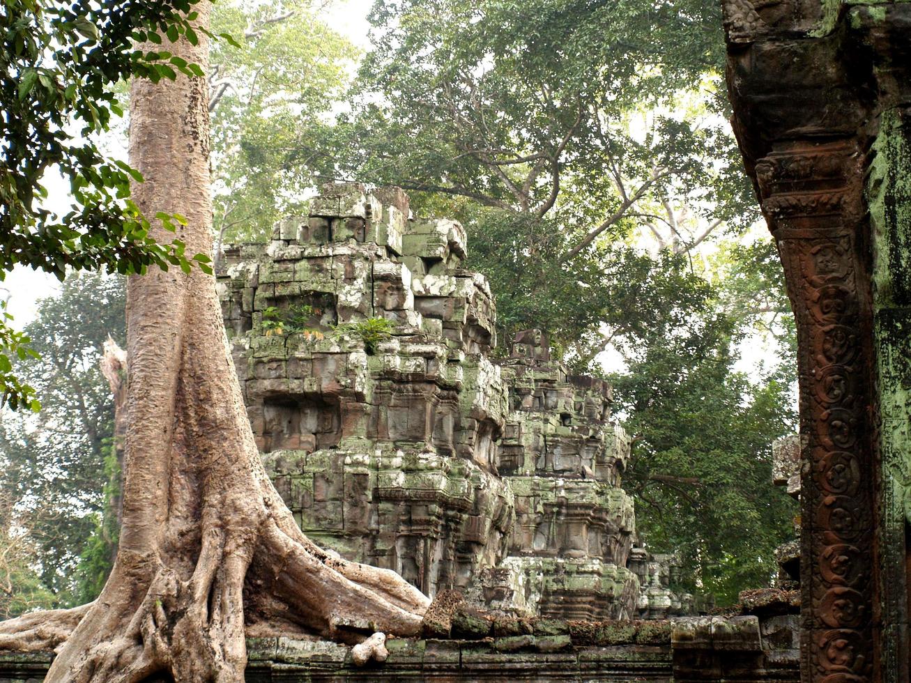 ruiner i Angkor Wat i Siem Reap, Kambodja foto