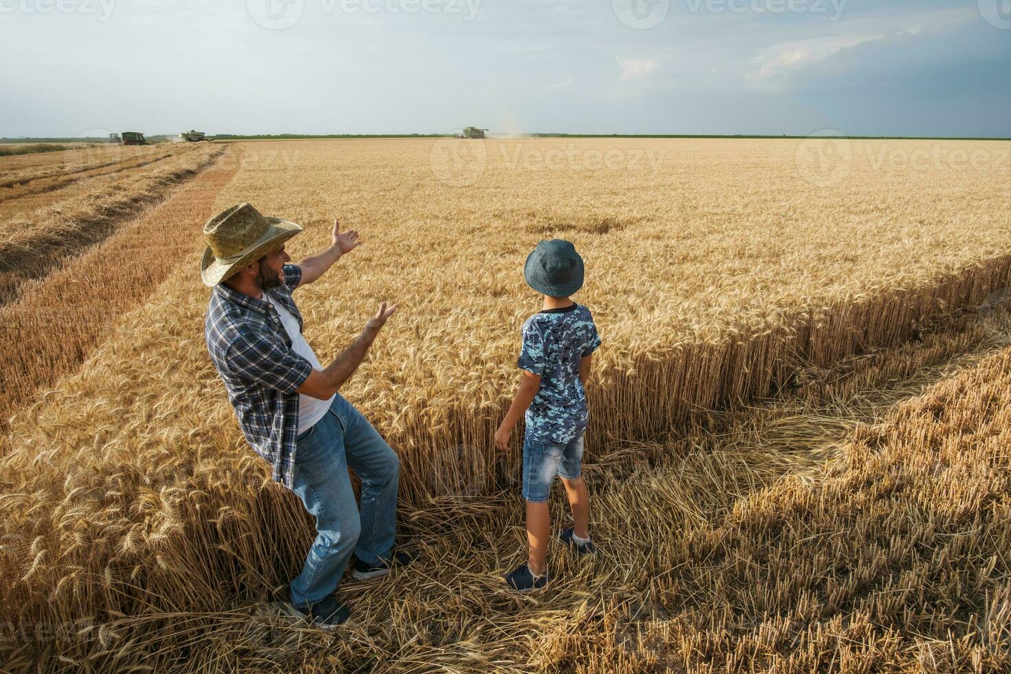far och son är stående i deras vete fält foto