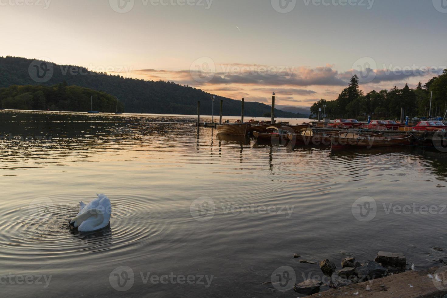 romantisk skymningsscen av en vacker stum svan i förgrunden och båtar förtöjda i en pir i sjön Windermere foto
