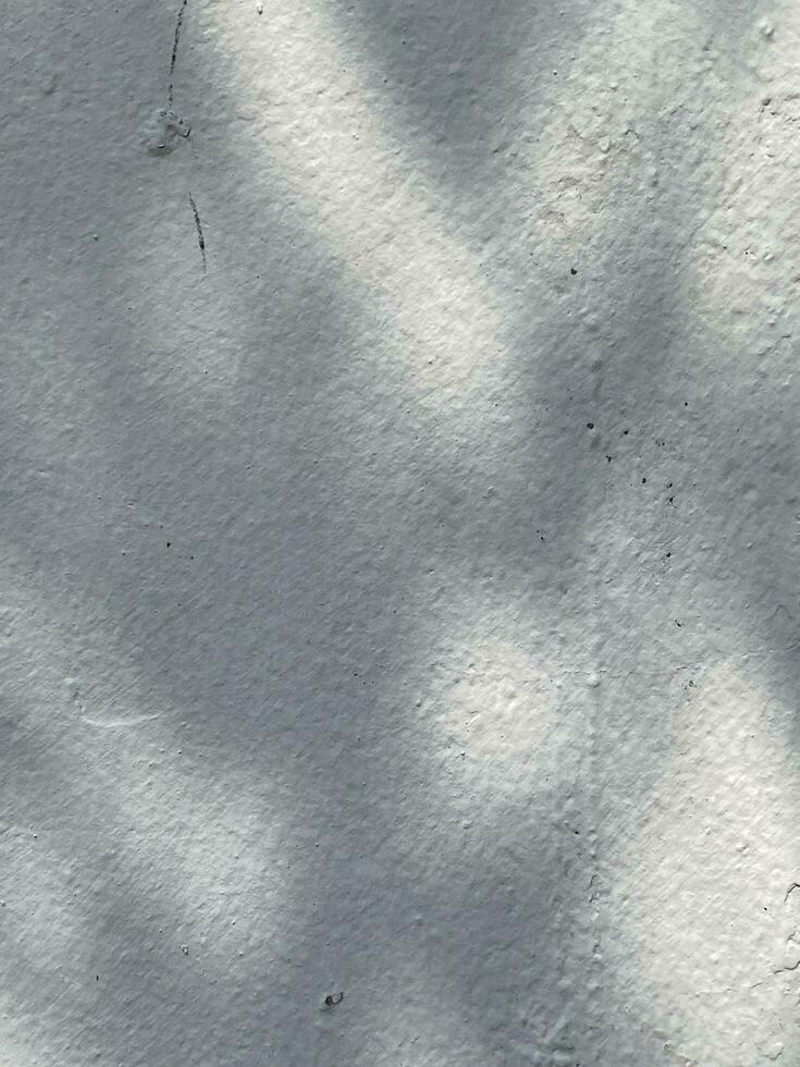 löv skugga bakgrund på betong vägg textur, löv träd grenar skugga foto