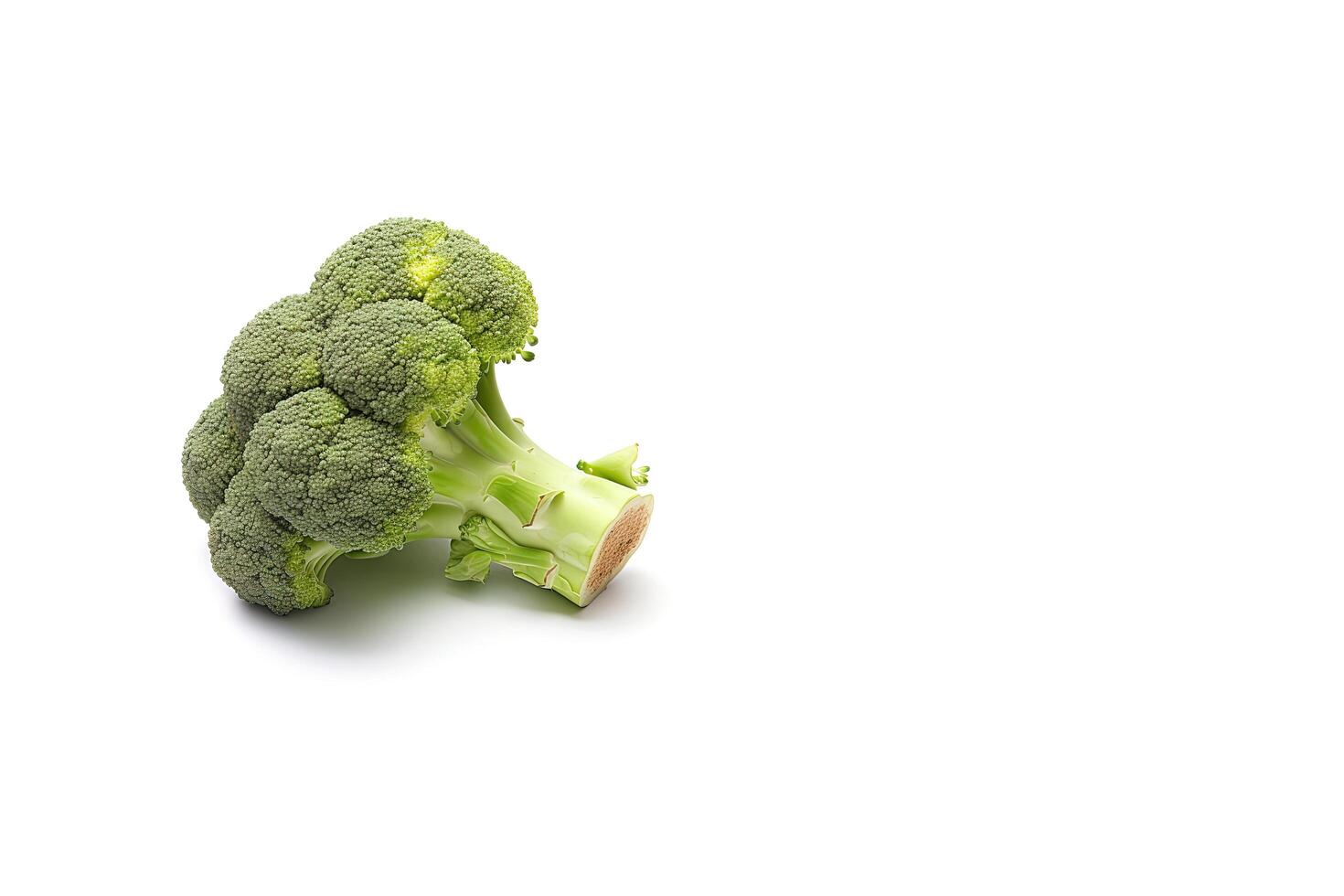 färsk broccoli isolerat på vit bakgrund med kopia Plats. ai genererad foto