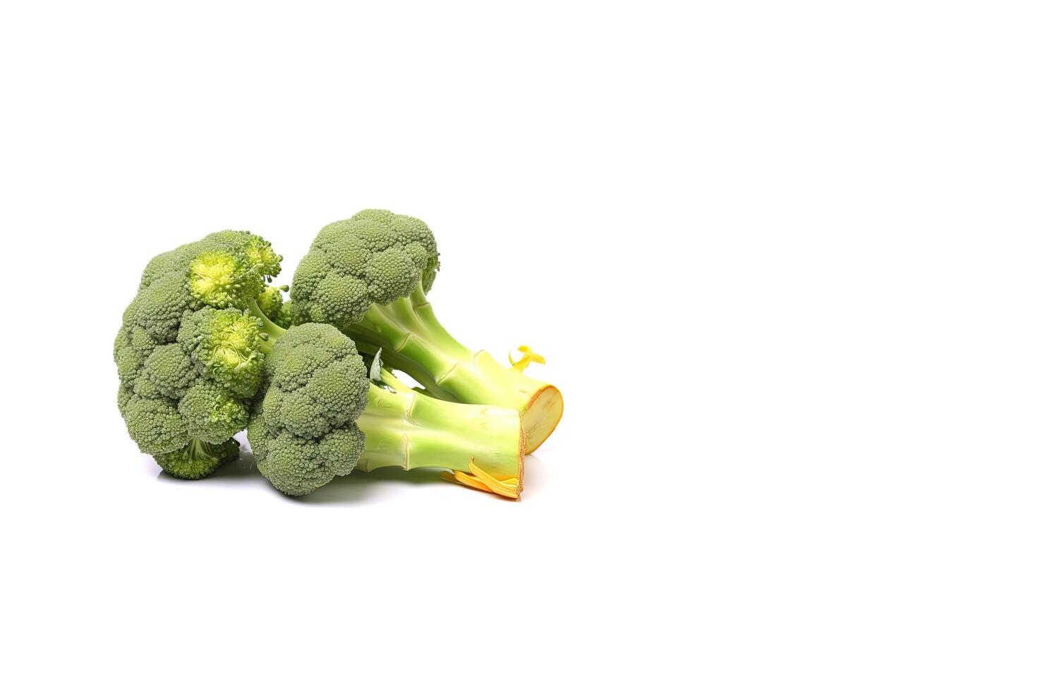 färsk broccolis isolerat på vit bakgrund med kopia Plats. ai genererad foto