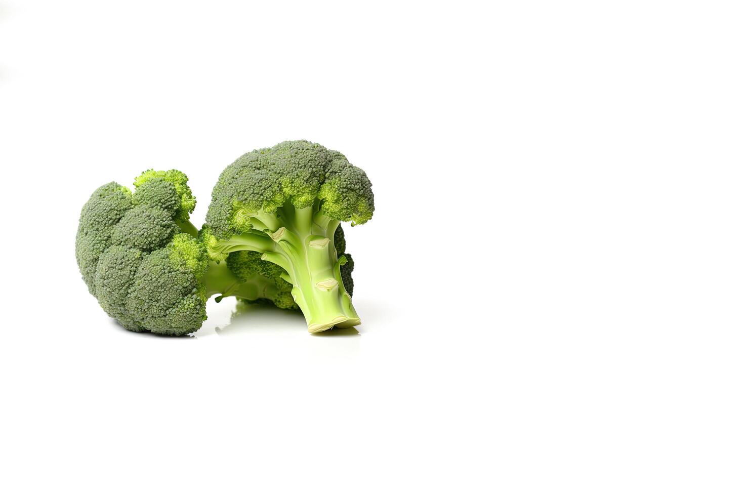 färsk broccolis isolerat på vit bakgrund med kopia Plats. ai genererad foto