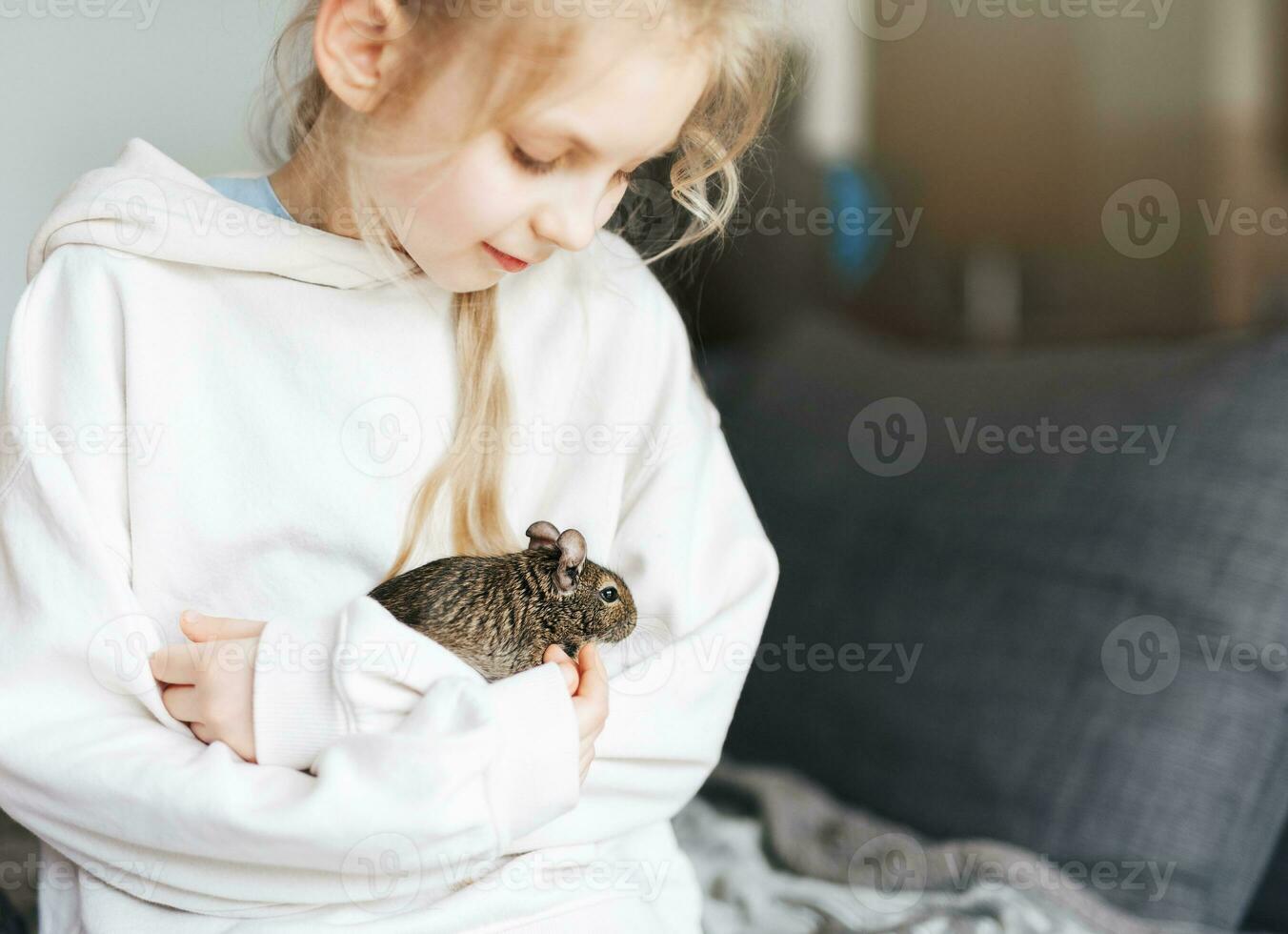 ung flicka spelar med små djur- degu ekorre. foto