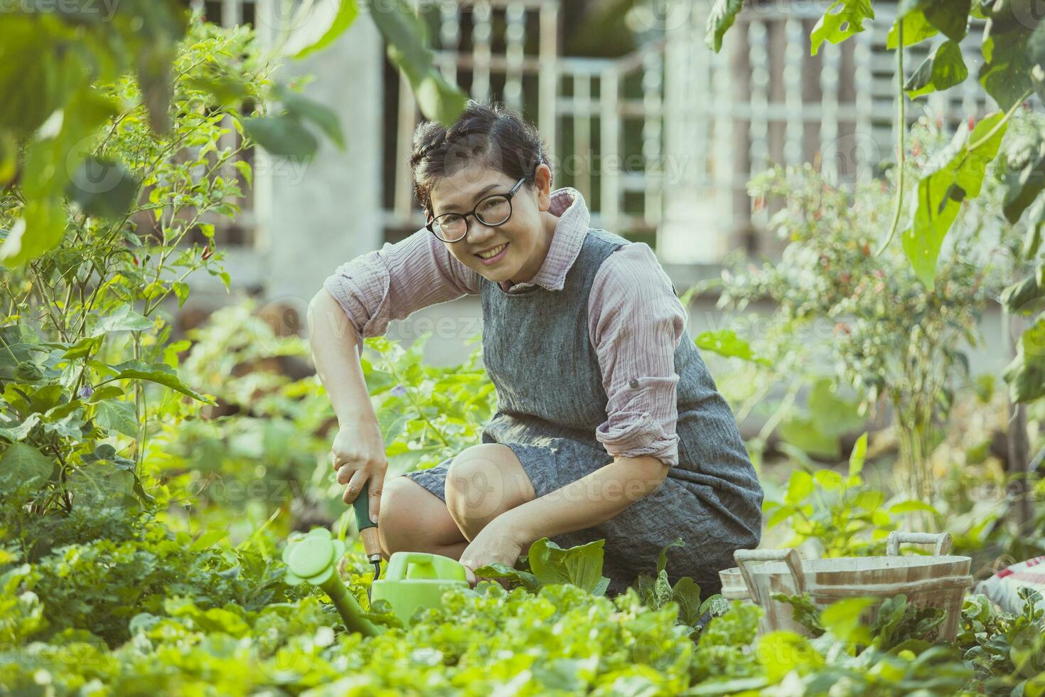 asiatisk kvinna skörd vegetabiliska på Hem trädgård foto