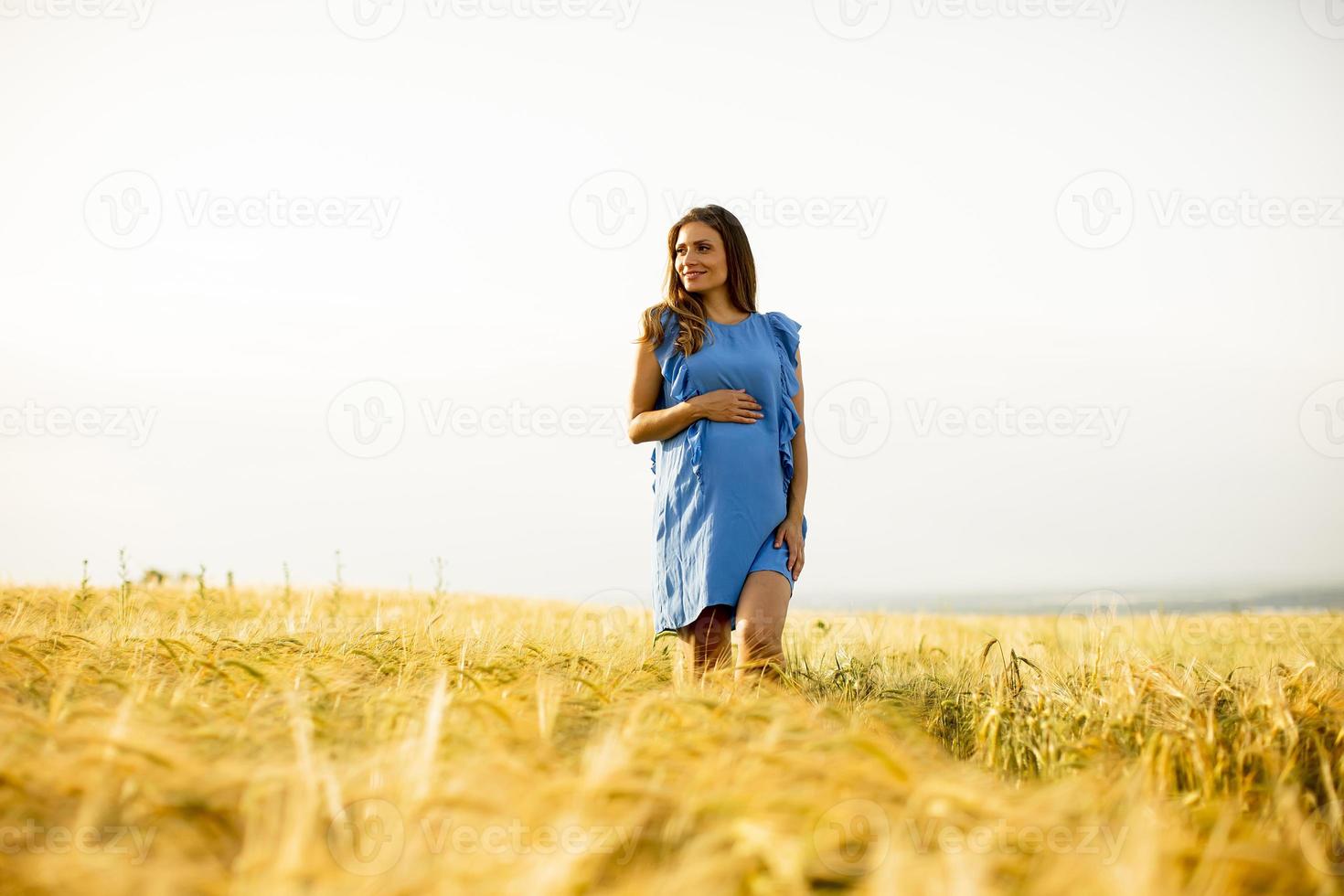gravid kvinna som går i ett vetefält foto