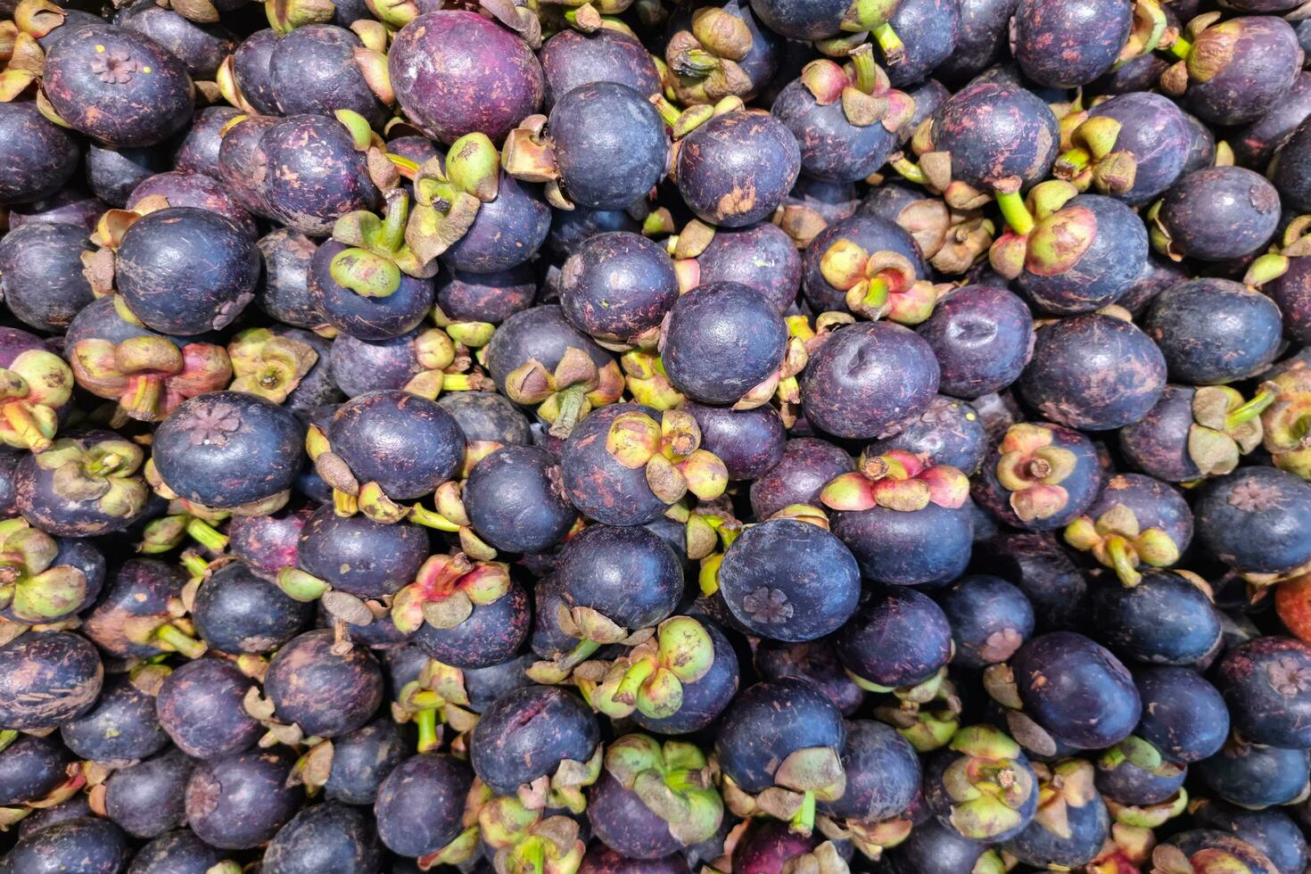 många kombinerad mangosteens på en friska bakgrund foto