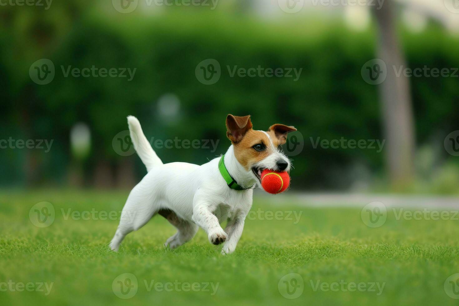 domkraft russel spela rolig hund. generera ai foto