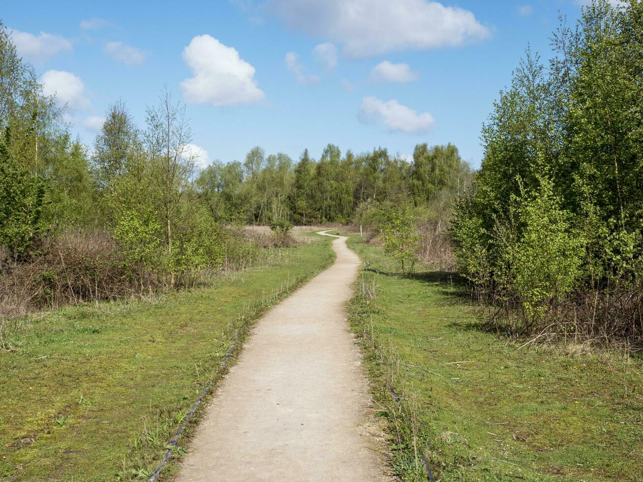 väg genom en natur boka foto