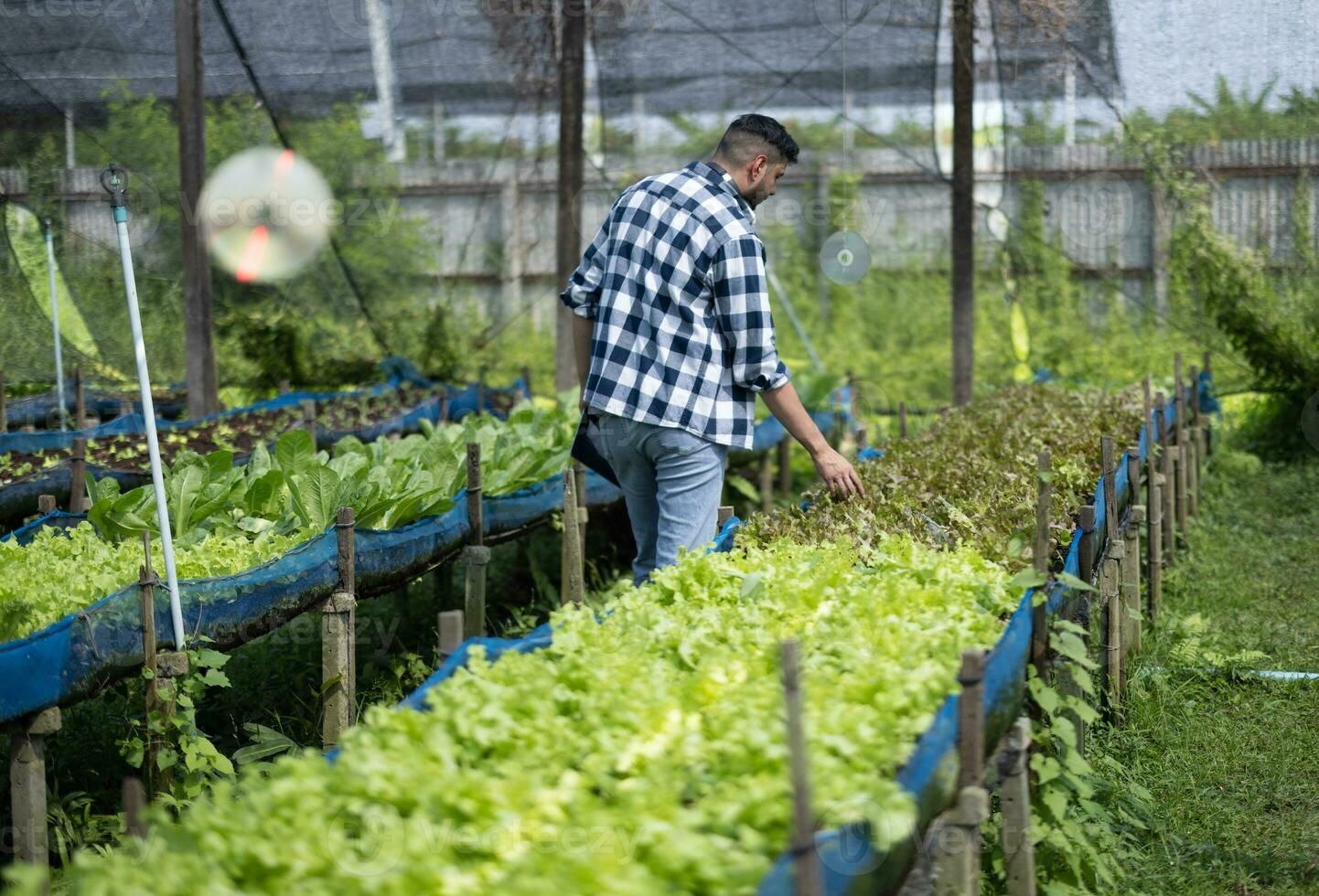 de vegetabiliska bruka ägare övervaka Allt aspekter av de gårdens anläggningar och infrastruktur, sådan som de vatten rader, luft flöde, och temperatur. den är avgörande till utveckla plantering och skörd strategier. foto