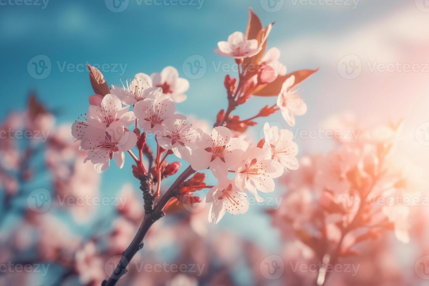 körsbär blomma vår blå himmel bakgrund. ai generativ foto