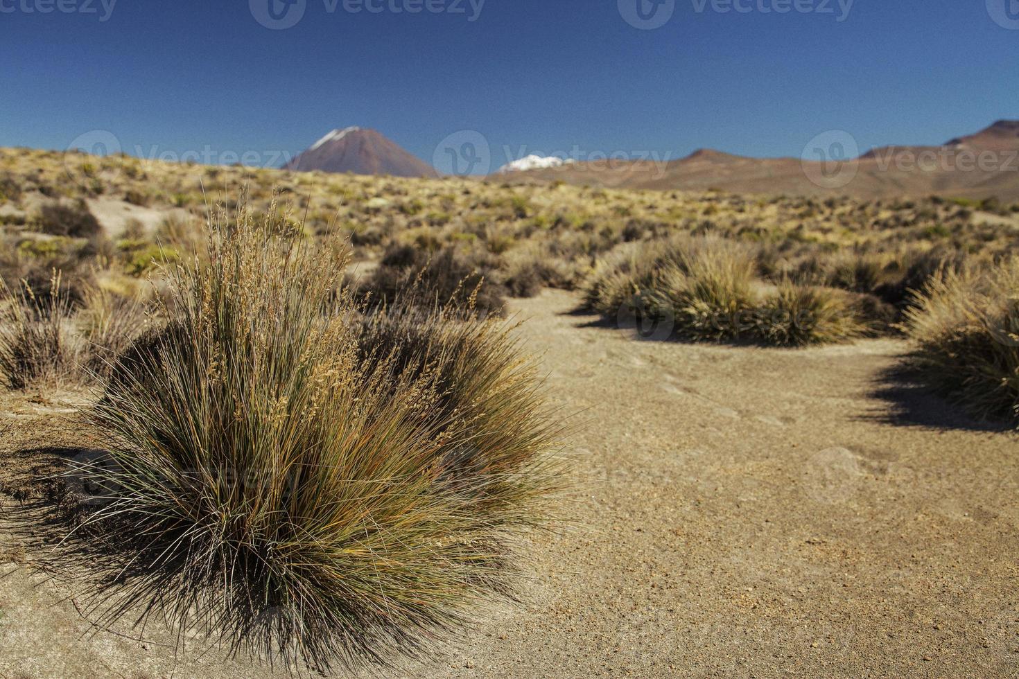 vandra till aktiv vulkan misti arequipa peru foto