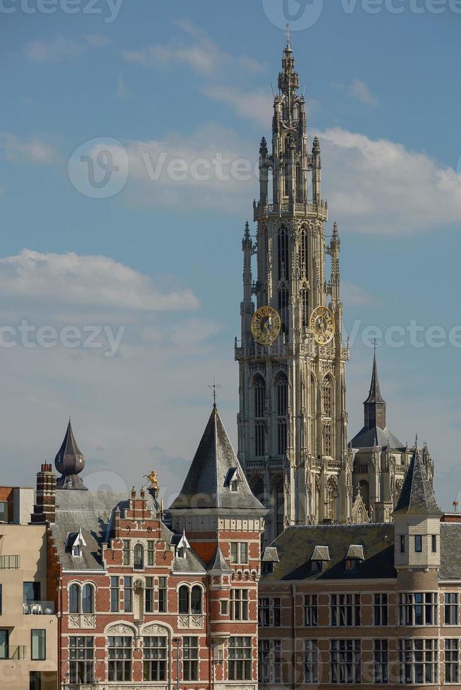 utsikt över en katedral av vår dam i Antwerpen Belgien foto