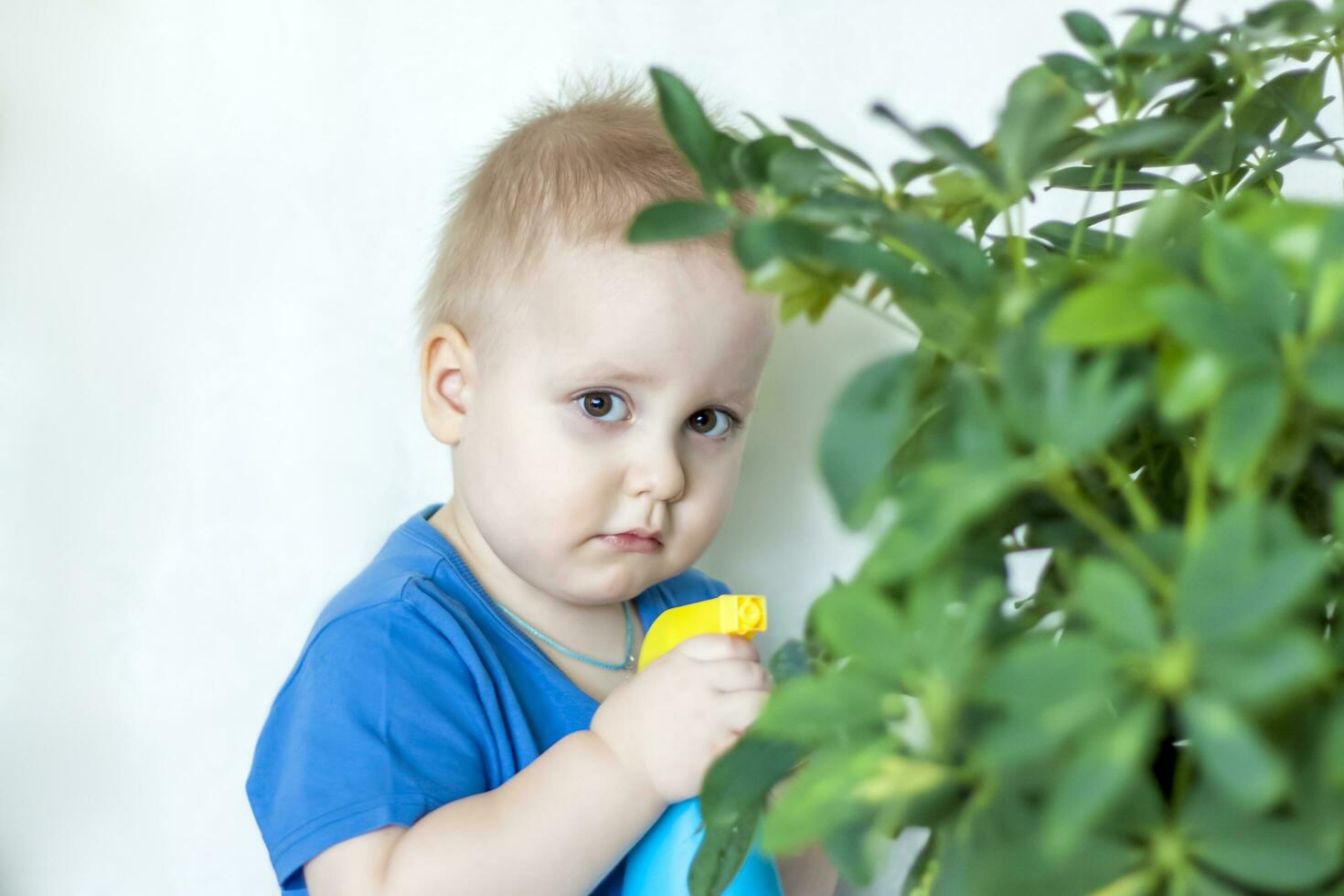 de barn hjälper till ta vård av inomhus- växter. de pojke sprayer på de löv med en kula pistol. vård av växter. foto