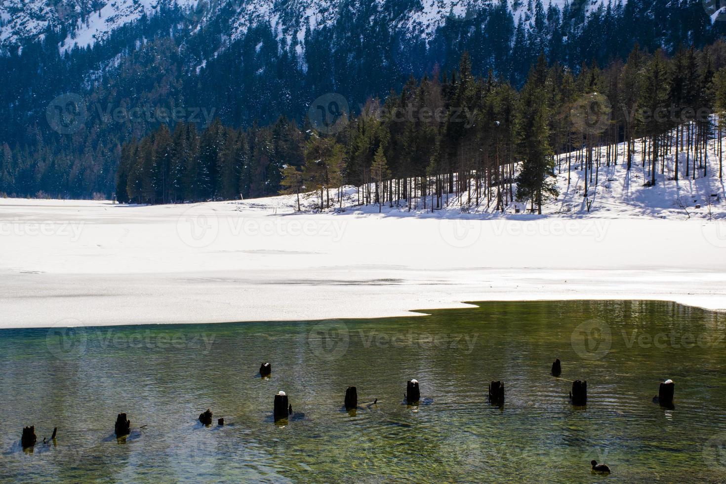 alpina sjön i skogen foto