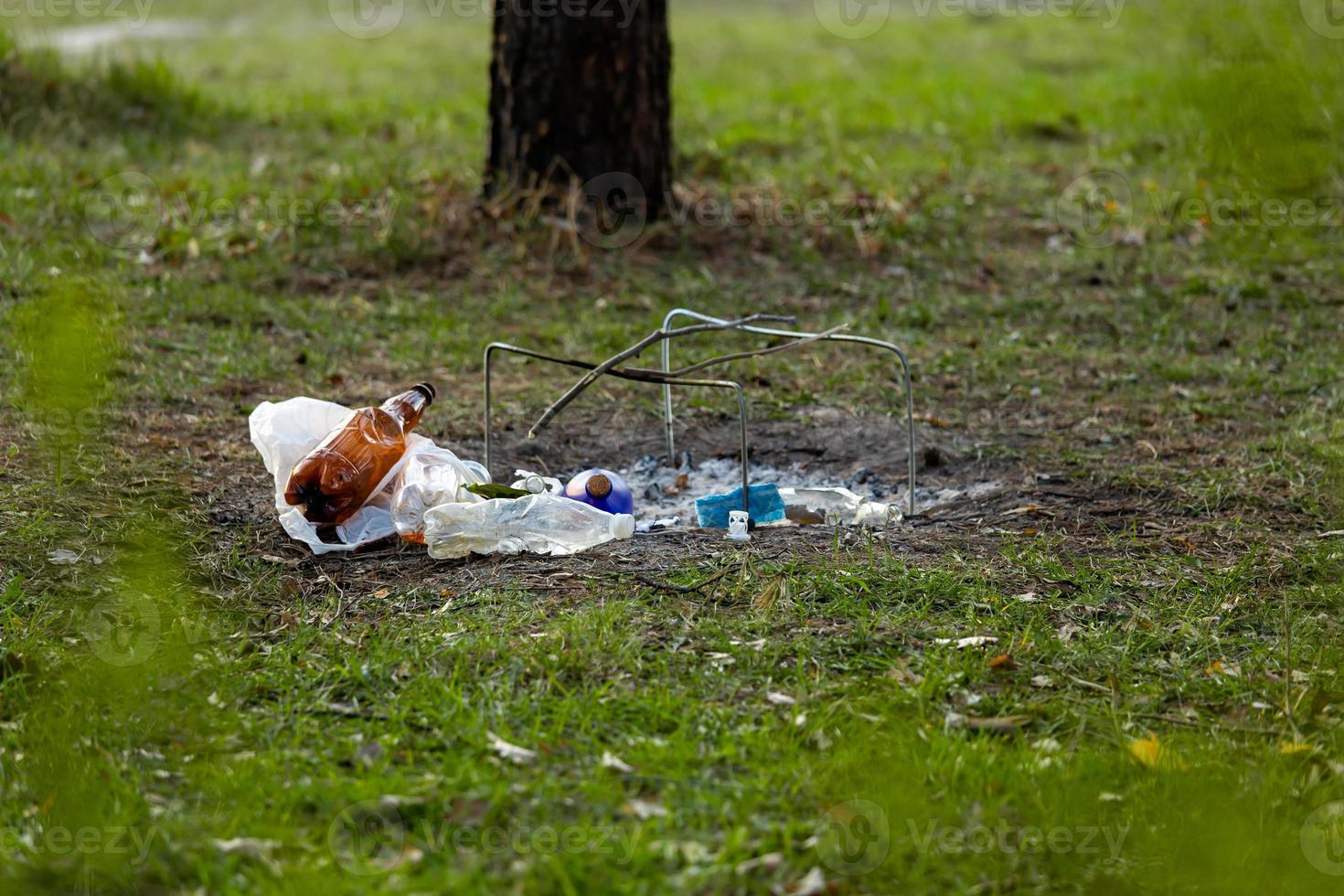 en hög med skräp i skogsparken nära lägereldplatsen foto