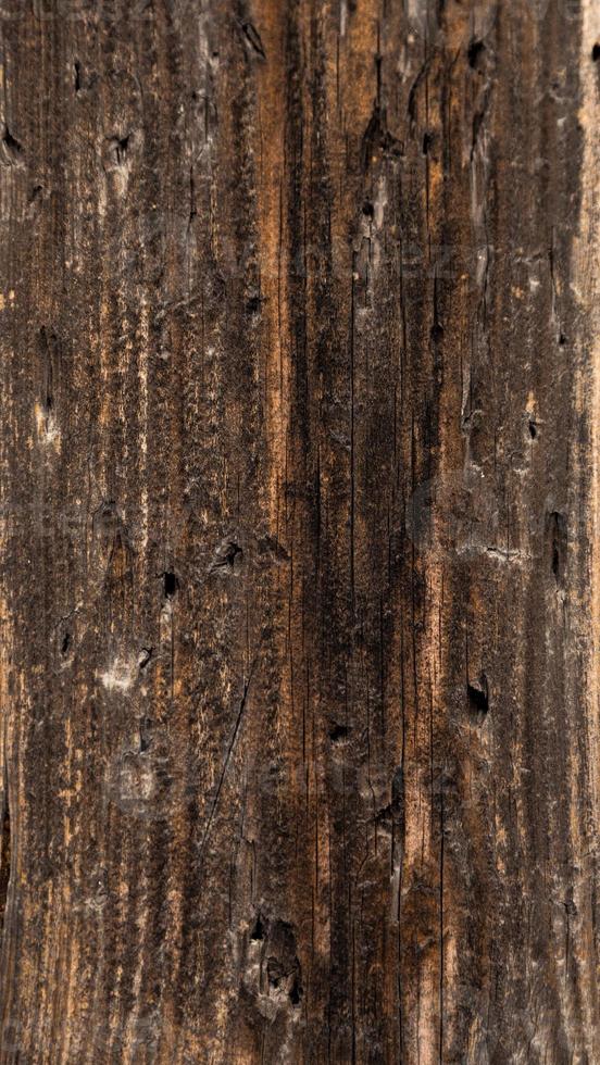 vertikala trä textur bakgrund gamla paneler foto