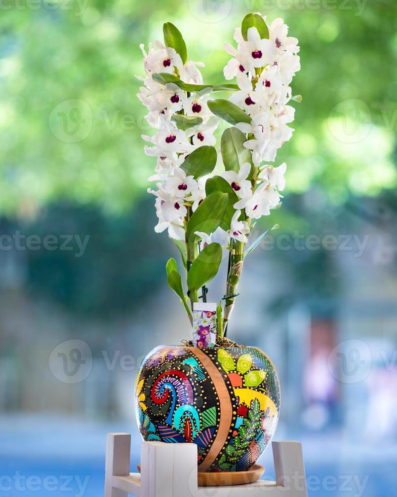 vit dendrobium nobile orkidéblomma i målad kruka foto