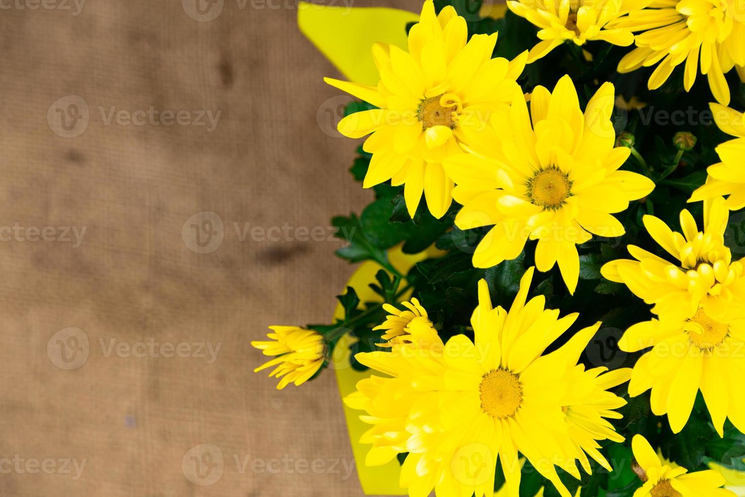 ovanifrån på en bukett med gula blommor med ett orange centrum foto