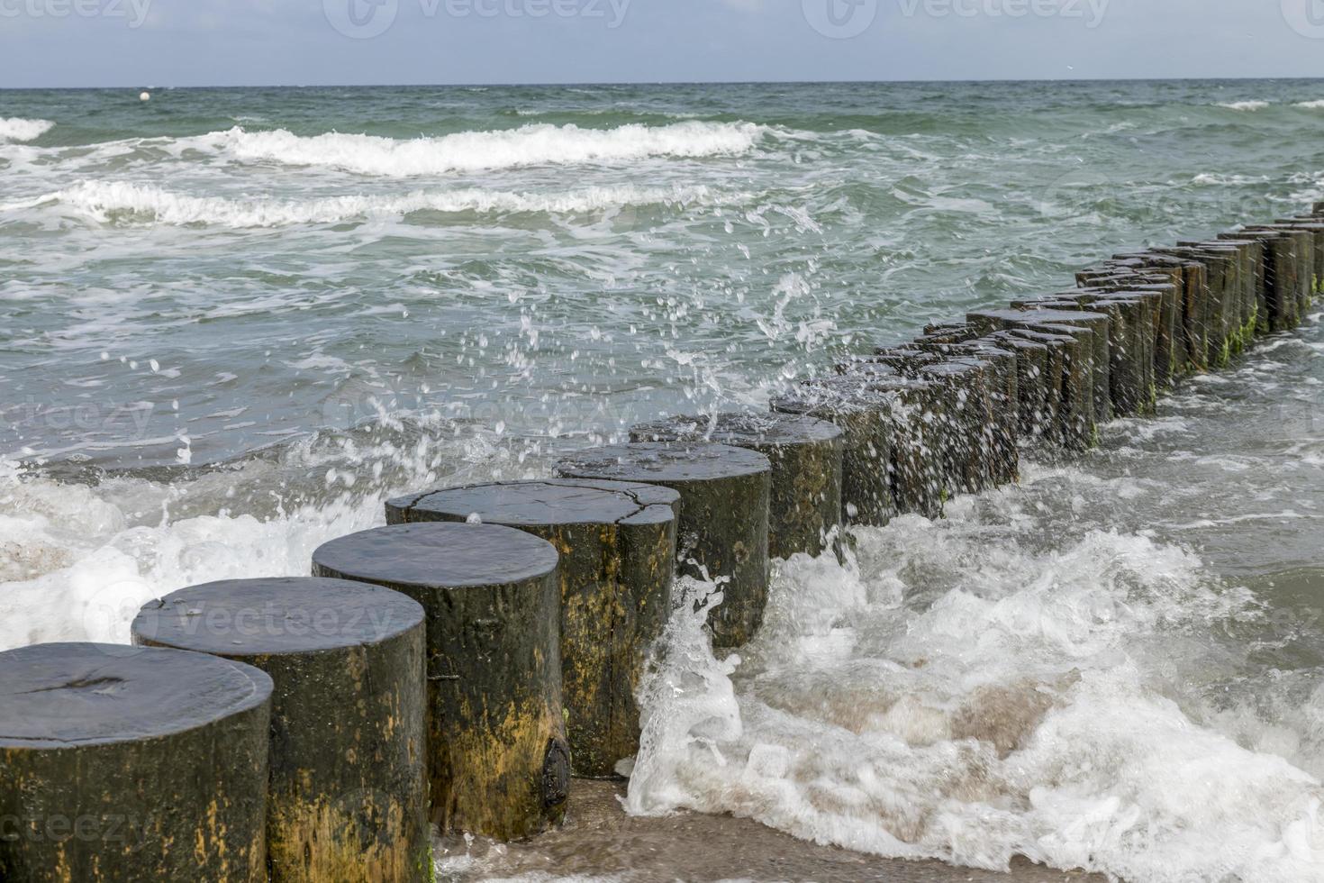 vågorna tvättade sig runt stockar på östersjökusten i sanden foto