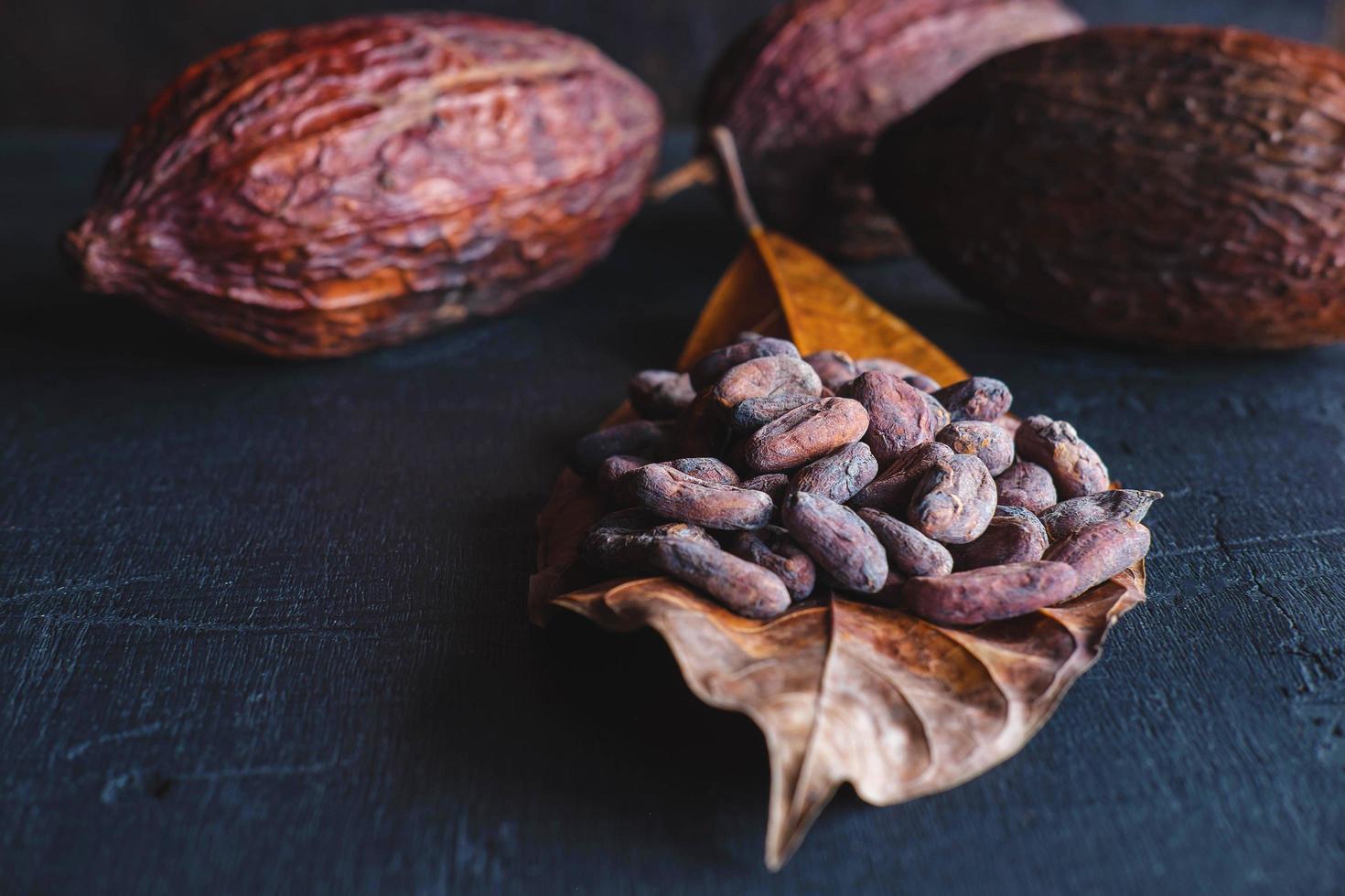 torkade kakaobönor och torkad kakao foto