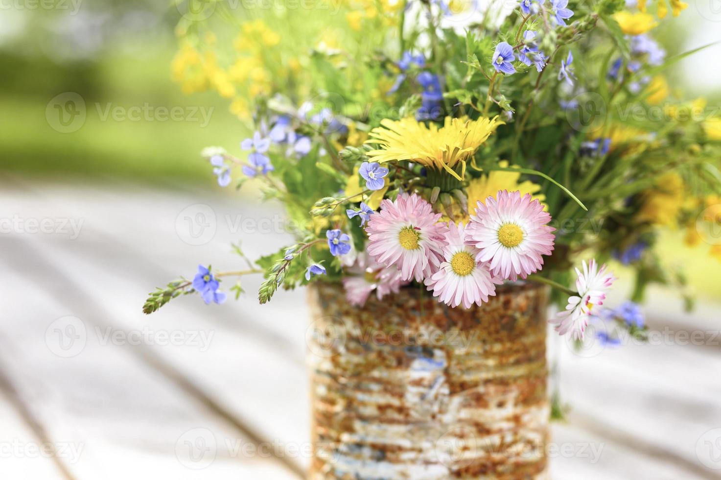 Cottagecore vilda blommor bukett rustik bellis blom glöm mig inte foto