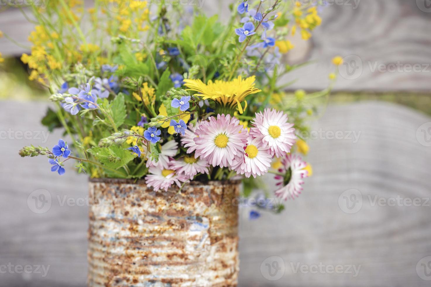 Cottagecore vilda blommor bukett rustik bellis blom glöm mig inte foto