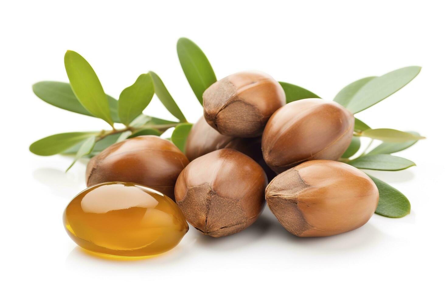 argan frön isolerat på en vit baner bakgrund. argan olja nötter med växt. kosmetika och naturlig oljor bakgrund, generera ai foto