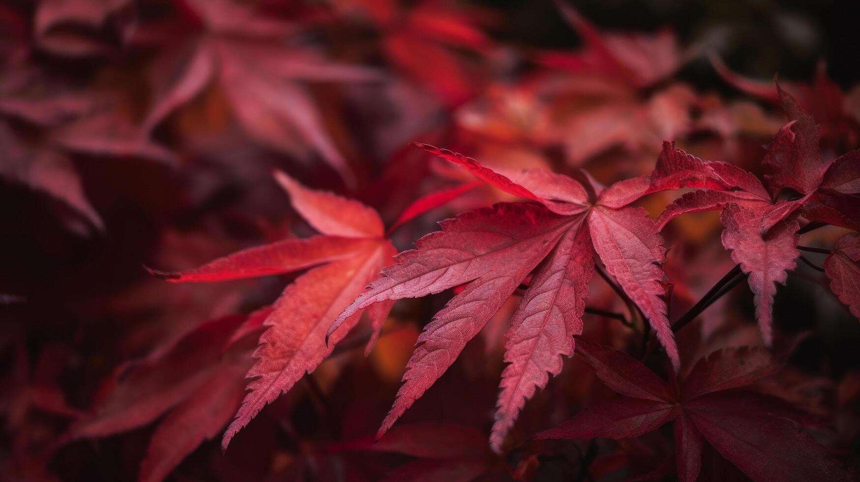 höst röd löv bakgrund. illustration ai generativ foto