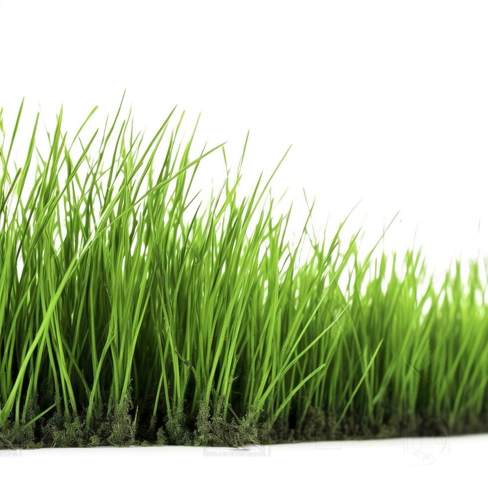 grön gräs fält isolerat på vit bakgrund, generera ai foto