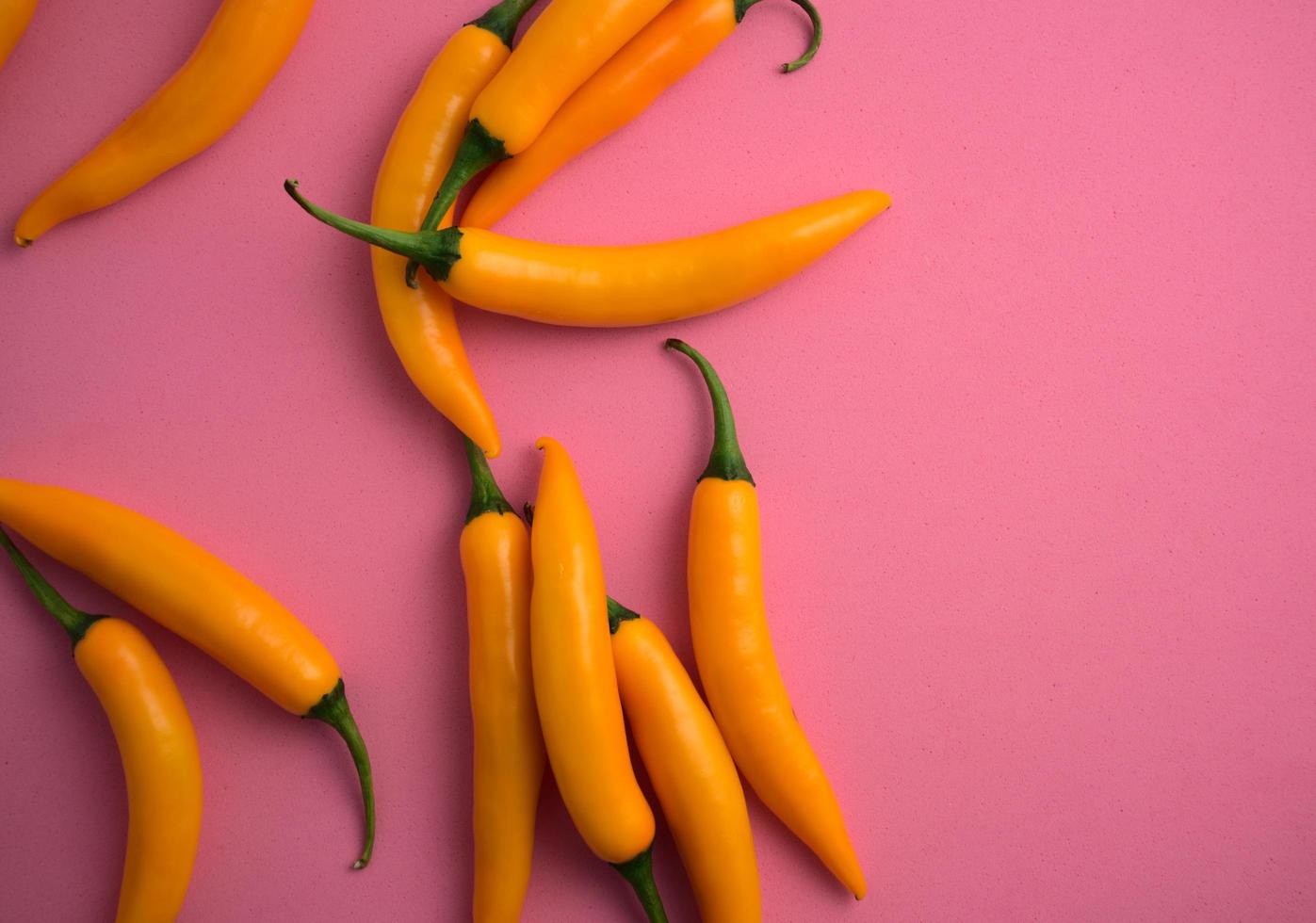 färsk naturlig levande gul chili platt låg på rosa foto