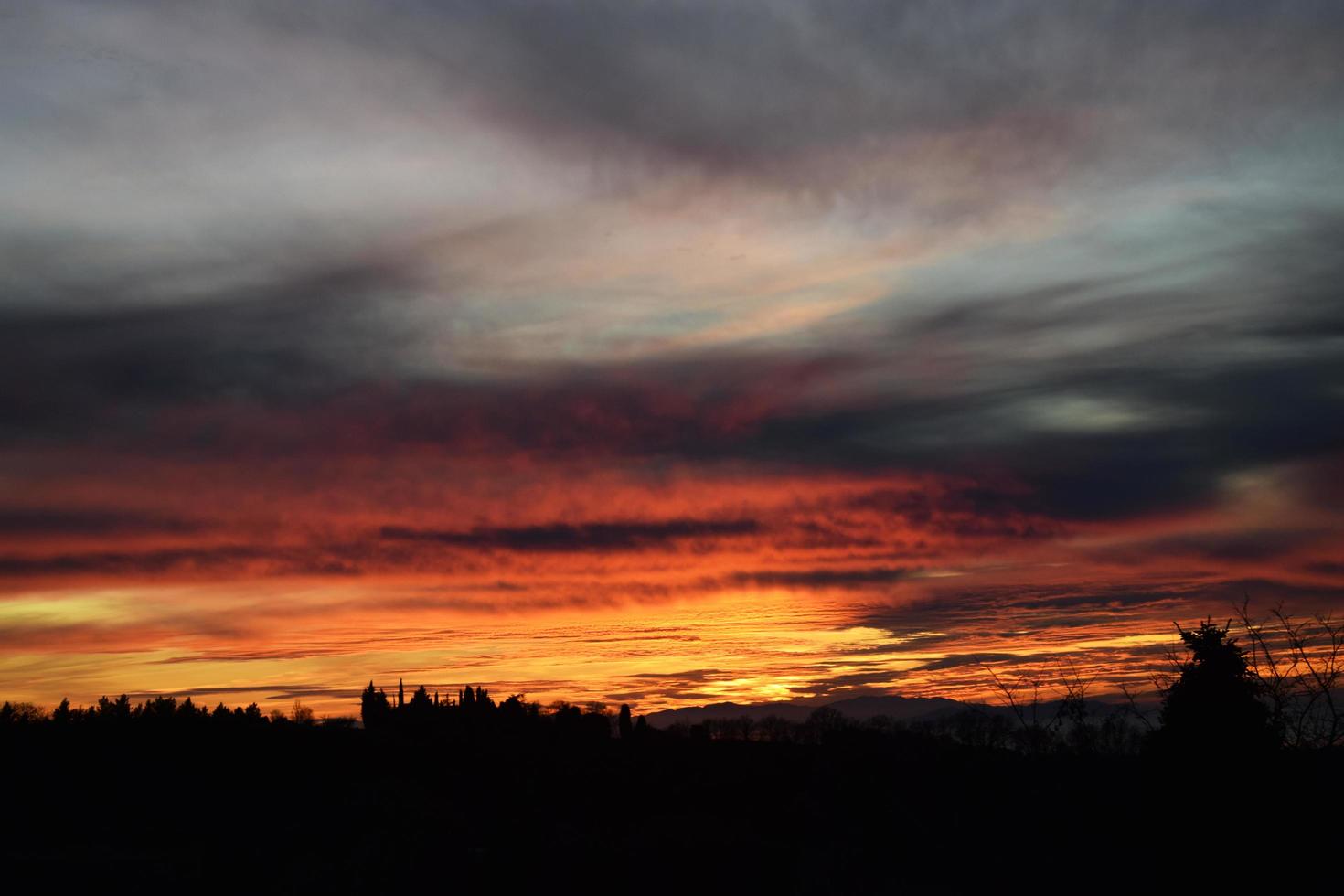 silhuett av träd under solnedgången foto