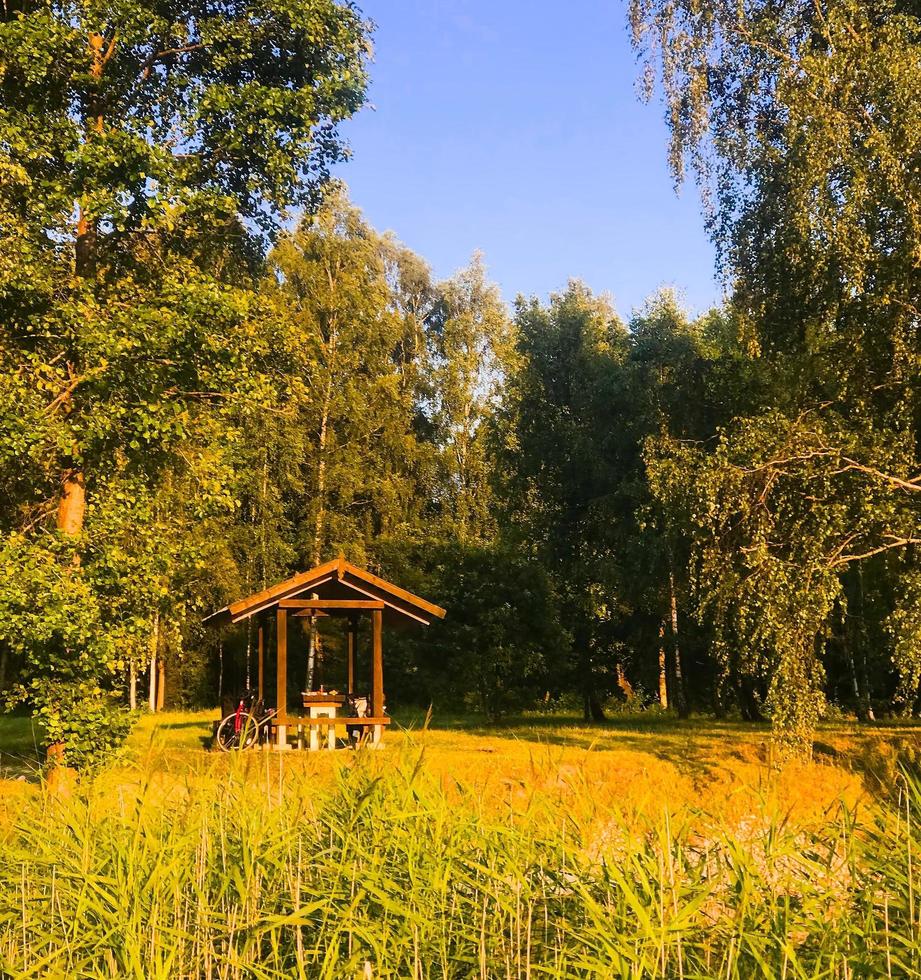 cykel som står på sidoväg i picknickområde foto