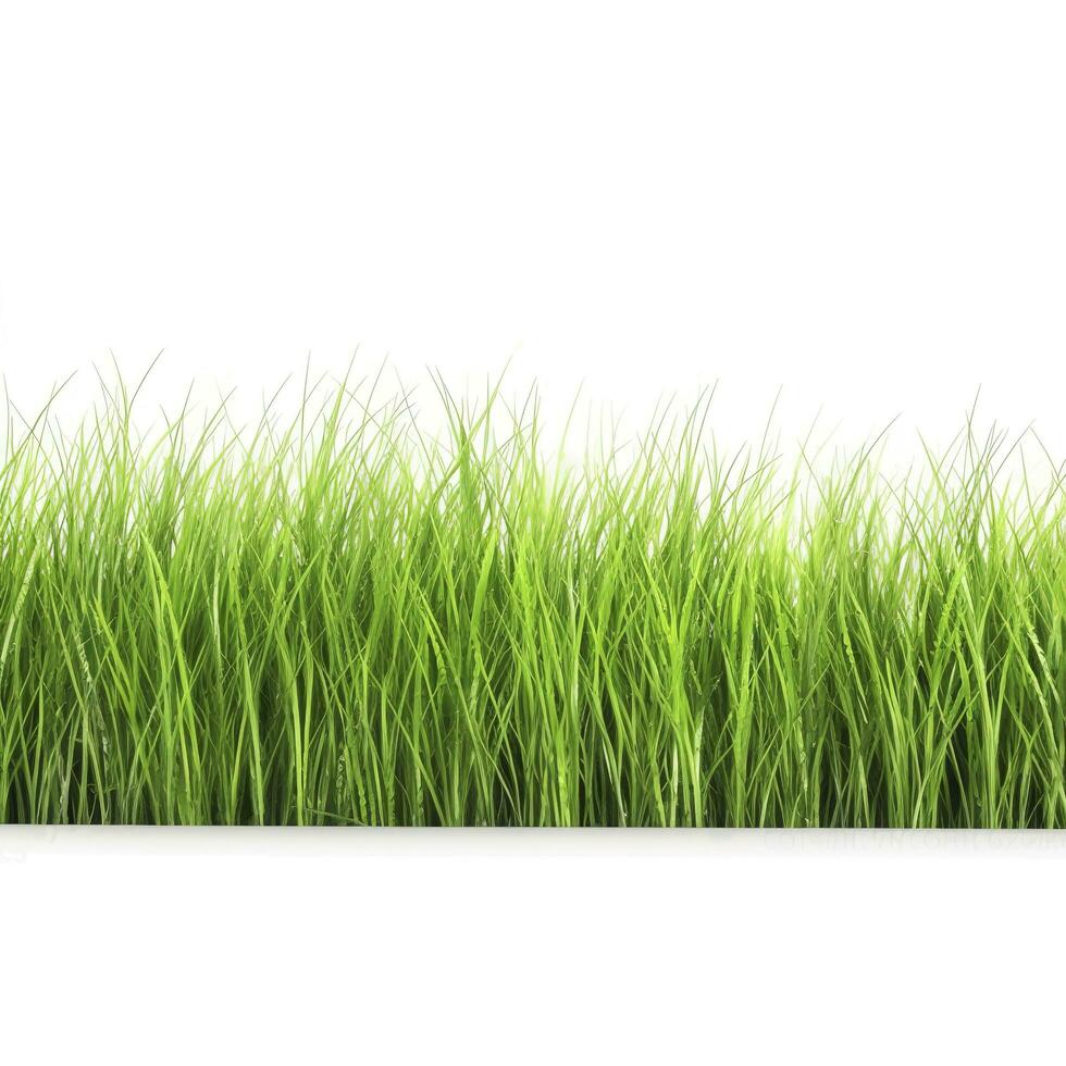 grön gräs fält isolerat på vit bakgrund, generera ai foto