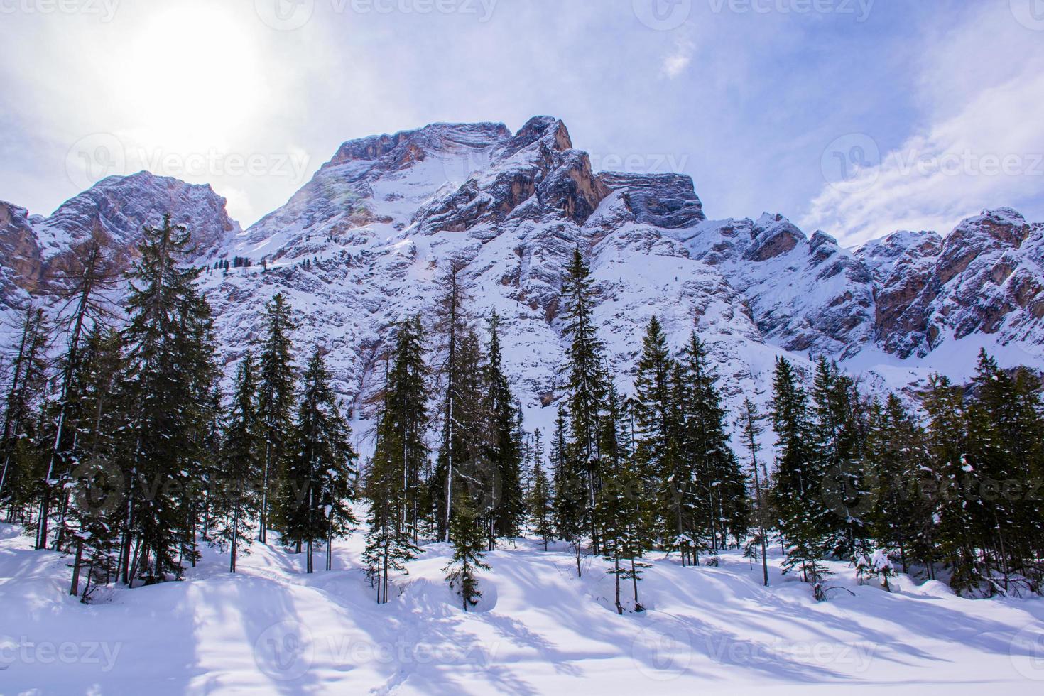 sjö och tallar i dolomiterna foto