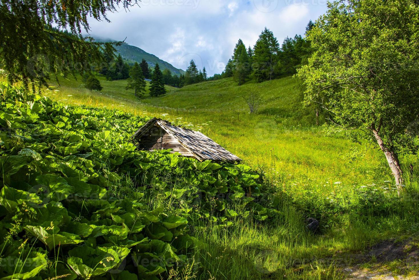 landskap nära sjön Levico, Trento Italien foto