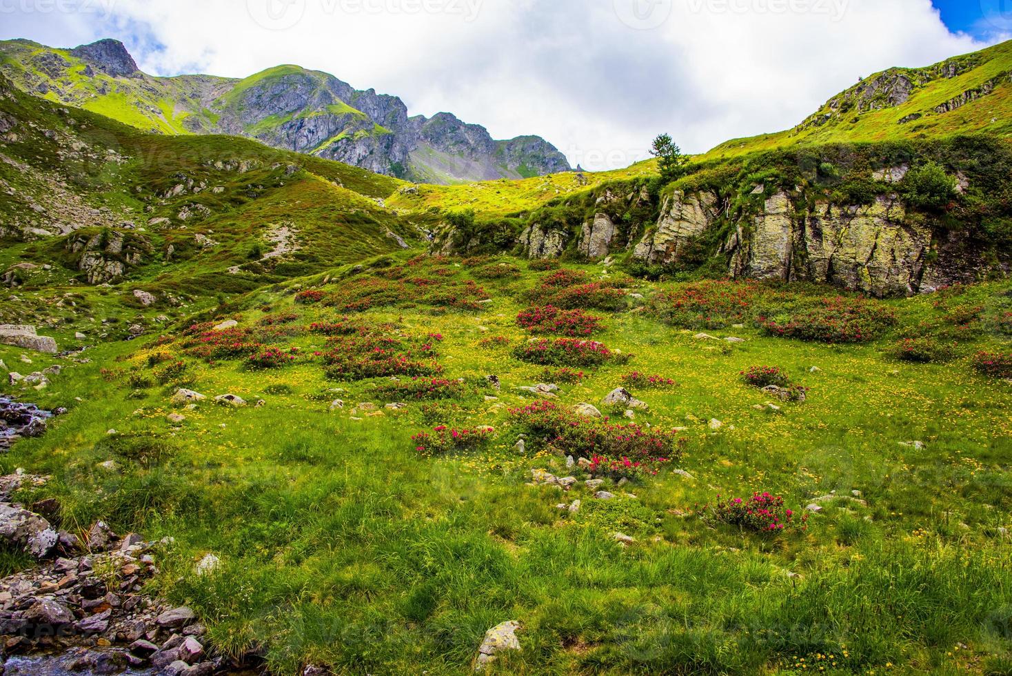 landskap nära sjön Levico, Trento, Italien foto