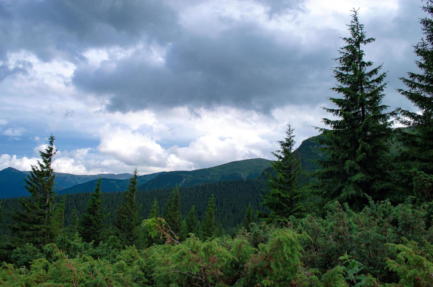 karpater berg panorama av gröna kullar i sommar berg foto