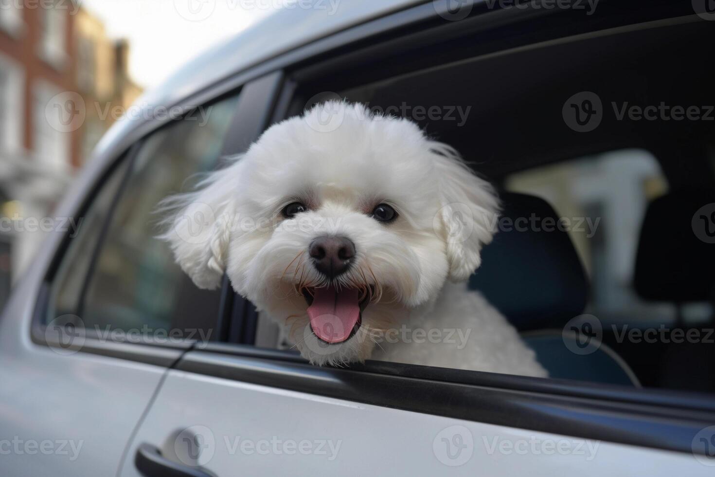 Lycklig bichon frysa hund med hans tunga hängande ut lutar ut av en bil fönster. resa med sällskapsdjur. ai genererad. foto