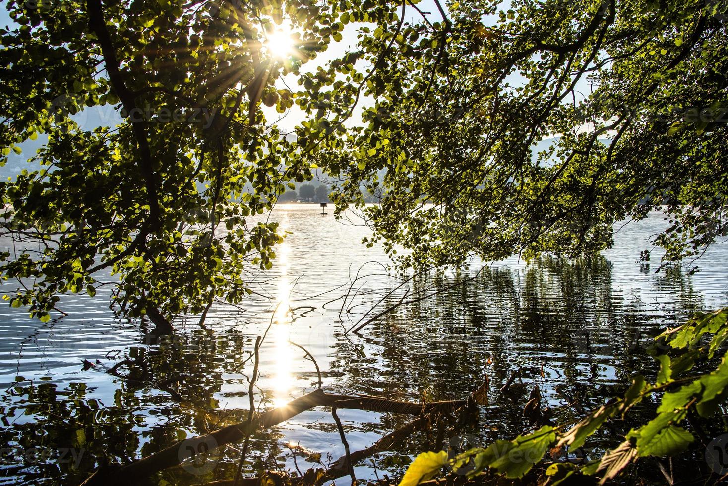 träd reflekteras på sjön levico foto